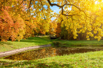 Autumn foliage in Pavlovsky park, Pavlovsk, St. Petersburg, Russia
