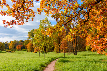 Autumn foliage in Pavlovsky park, Pavlovsk, St. Petersburg, Russia