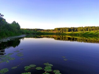 Beautiful summer nature on various reservoirs in Europe. Unique image for decoration