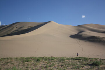 Along the lonely Khongor sand dunes and green vegetation, Gobi Desert. The huge sand dunes may stretch for over 180 kilometers in vast Gobi Desert, South Mongolia. 