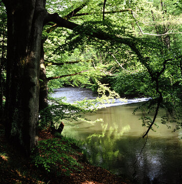 Westerwald Marienstatt