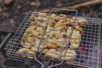 Delicious meat cooked in a grill over burning coals
