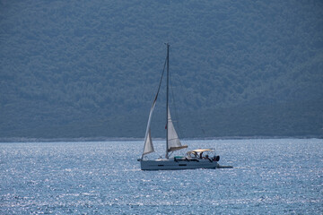 Obraz premium Sailing Yachts on Horizon...