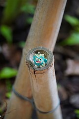 Okinawa dragon, okinawa, japon, japan