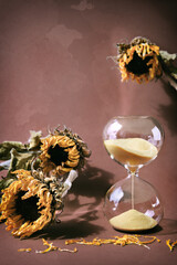 Autumntime still life with hourglass and natural dry plants. Dry sunflowers, sand hourglass on...