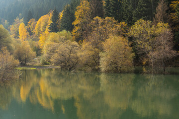 Autumn Season in the Swiss Alps, Bern, Switzerland
