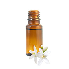 Neroli essential oil in the dark glass bottle and orange tree fragrant flowers isolated transparent png.
