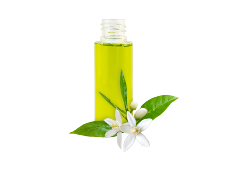 Neroli essential oil in the bottle and orange tree fragrant flowers, leaves and buds isolated transparent png. 