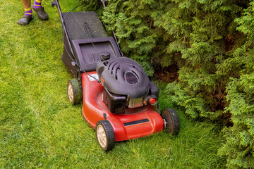 middle aged handsome man wearing home clothes is cutting the lawn, process to cut the grass at the yard with special machine lawn mover, green garden