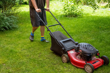 Fototapeta premium middle aged handsome man wearing home clothes is cutting the lawn, process to cut the grass at the yard with special machine lawn mover, green garden