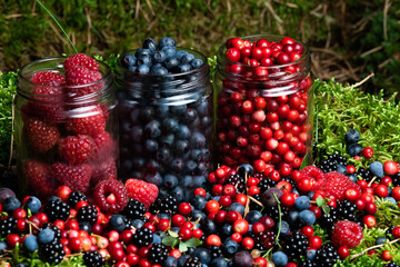 Berries fresh assorted mix overhead arrangement close up in studio on dark background.