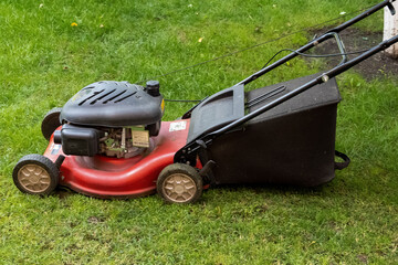 Fototapeta premium middle aged handsome man wearing home clothes is cutting the lawn, process to cut the grass at the yard with special machine lawn mover, green garden