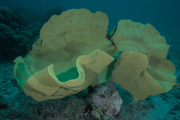 Beautiful scenery from around the world
