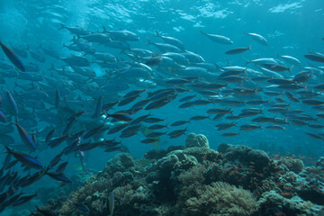 Beautiful scenery from around the world
