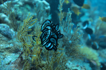 Beautiful scenery from around the world
