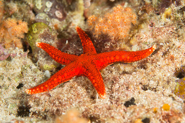 Beautiful scenery from around the world
