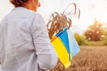 Independence Day of Ukraine. Close up of ukrainian blue and yellow flags in field with wheat....