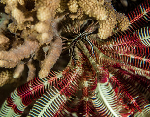 Beautiful scenery from around the world
