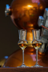 Liqueur glasses in front of a gin distiller.