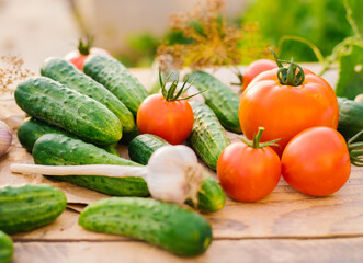 Fresh vegetables on a wooden background. Cucumbers, tomatoes, garlic, dill. Contoured sunlight. Organic farm. Organic vegetables. Summer harvest.