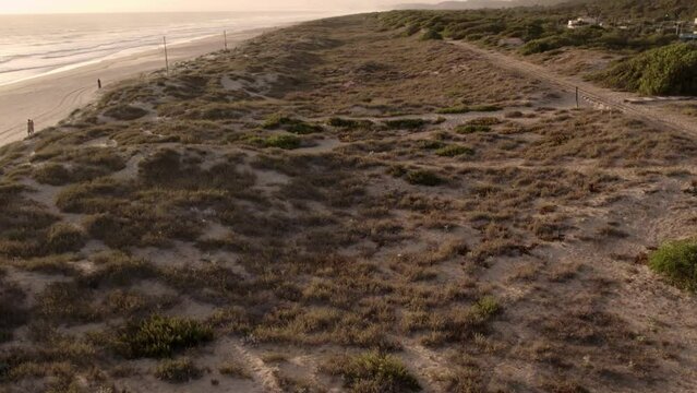 Tilt up shot of sandy beach texture