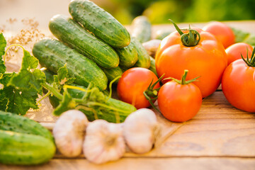 Fresh vegetables on a wooden background. Cucumbers, tomatoes, garlic, dill. Contoured sunlight. Organic farm. Organic vegetables. Summer harvest.