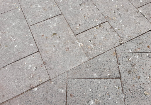 A lot of pigeon droppings in front of a shopping center in Berlin