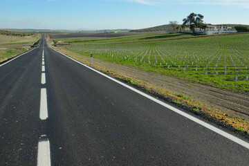 Landscape of a rural street on Andalucia in Spain