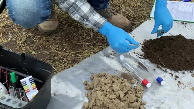 Closeup of male specialist hand in protective gloves taking soil sample into test tube, preparing material for laboratory analysis outdoors. Agronomist working at field. Environment research