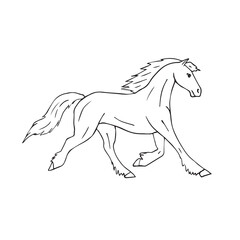 Vector hand drawn doodle sketch friesian horse isolated on white background