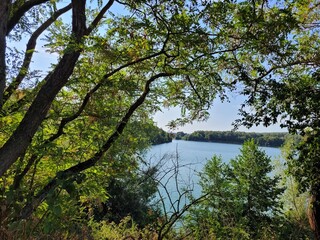 lake in the park