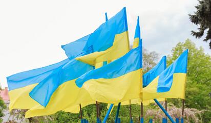 Flags of Ukraine. The state symbol of Ukraine.