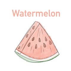 juicy sweet ripe watermelon - watercolor drawing