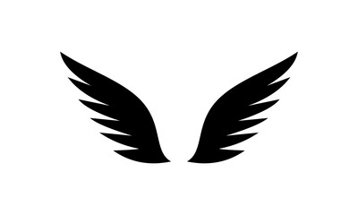 black wings vector illustration