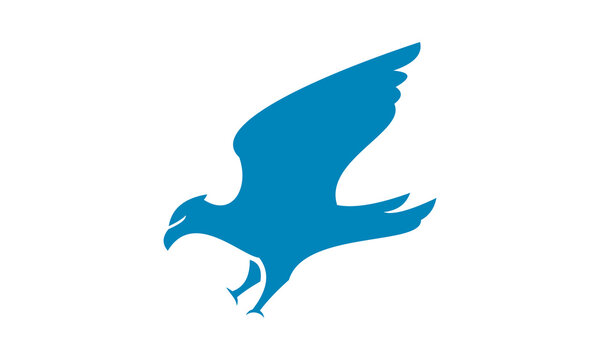 eagle bird wild logo