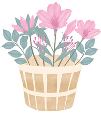 Pink flowers watercolor azalea illustration.