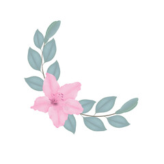 Pink flowers watercolor azalea illustration.