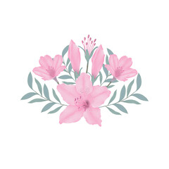 Pink flowers watercolor azalea illustration.