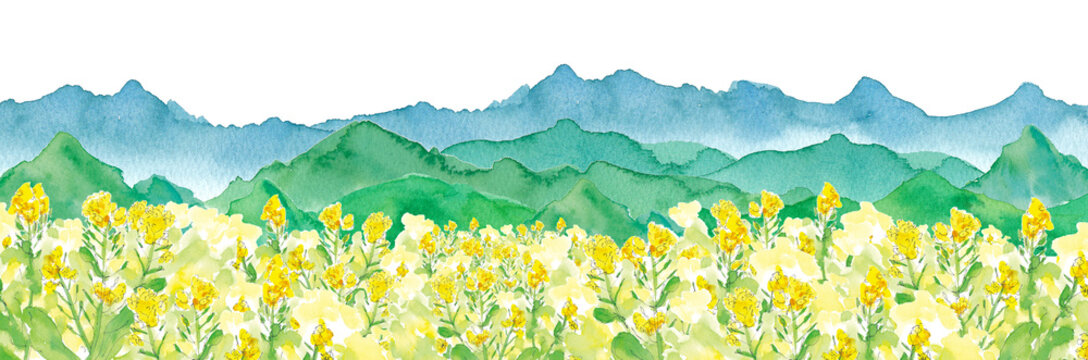 菜の花畑と連なる山。水彩イラスト（透過背景）