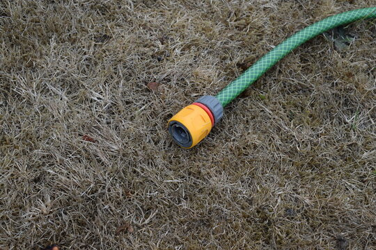 End Of A Garden Hose Lying Unused On Dry Grass. UK Hosepipe Ban Due To Drought.