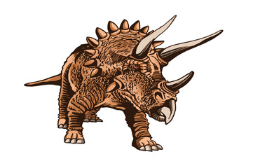 Vector color  triceratops isolated on white background, graphical illustration of dinosaur © Vita