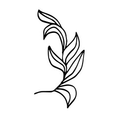 Vector tropical plant with large leaves.