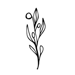 Vector twig with leaves and berries. Botanical element for wedding, organic design