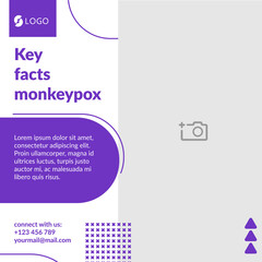 Fototapeta na wymiar Banner Key facts monkeypox, template