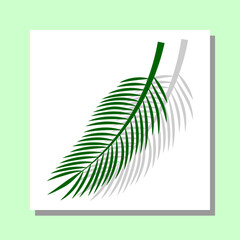 Shadows, overlay effects mock up, leaf of palm tree plant, natural interior light, vector illustration