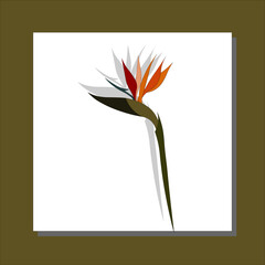 Exotic Strelitzia flower in one line art drawing style. Bird of paradise flower minimalist black line sketch on white background. Vector illustration