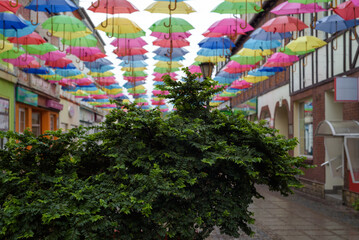 CITY LANDSCAPE - A green plant on the walking passage under colorful umbrellas © Wojciech Wrzesień