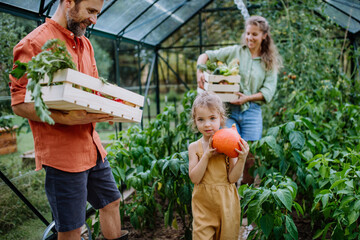 Farmer family with fresh harvest standing in a greenhouse