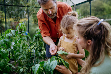 Parents with little daughter standing in a greenhouse and learning about plants.