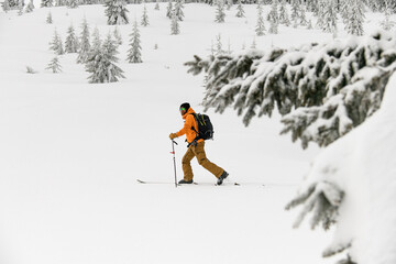 skier walking along snowy winter forest, ski tour. Side view, copy space, full length